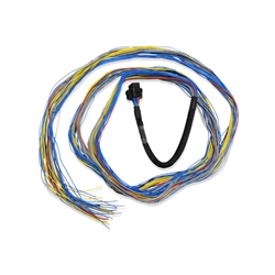 Fueltech FT600 UNTERMINATED HARNESS 10ft  2001004001